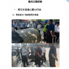 山东伸达建设集团有限公司------上半年工作简报