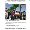 山东伸达建设集团有限公司------上半年工作简报