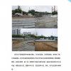 山东伸达建设集团有限公司------上半年工作简报